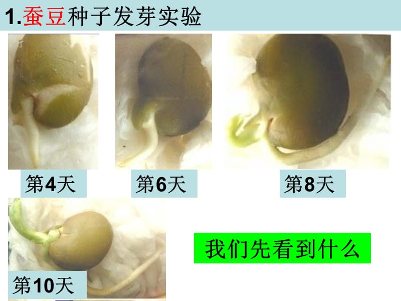 教科版三年级下册一单元3课.ppt_第2页