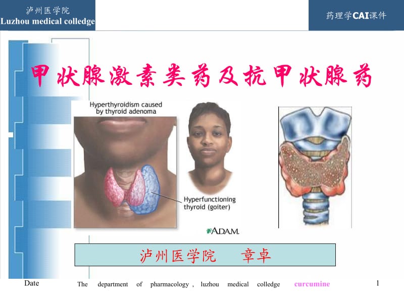 药理学12.ppt_第1页