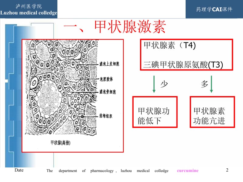 药理学12.ppt_第2页