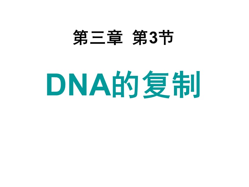 DNA的复制.ppt_第1页