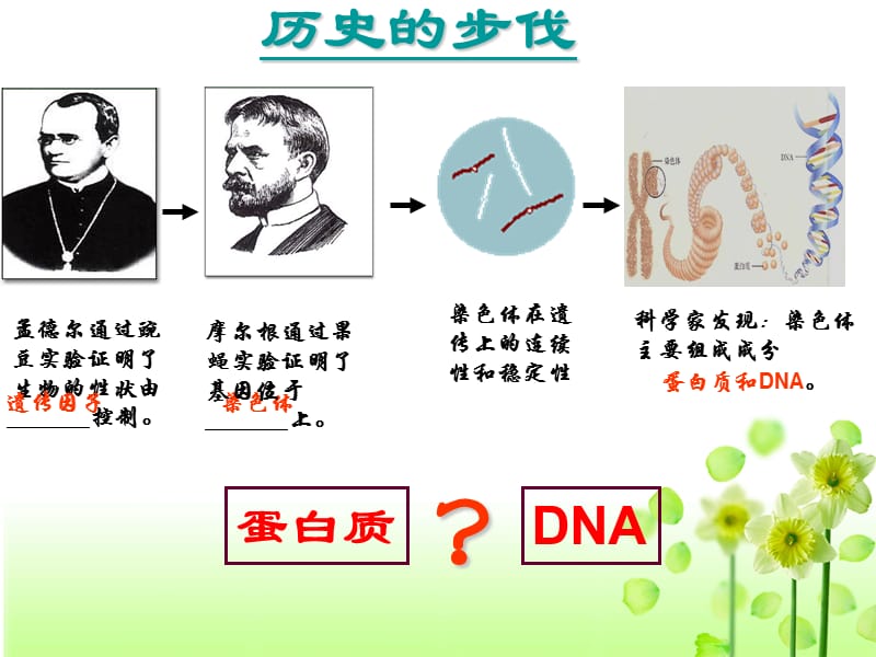 DNA是主要的遗传物质课件ppt2.ppt_第3页