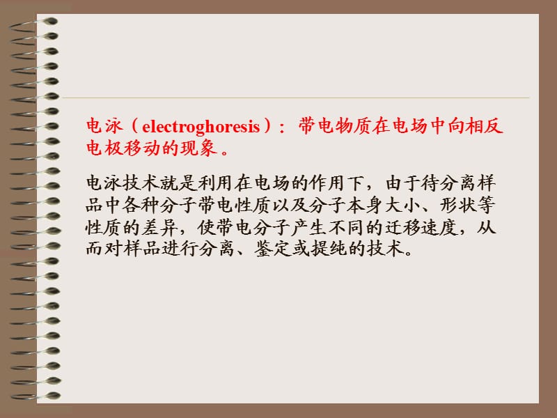 凝胶电泳技术.ppt_第2页