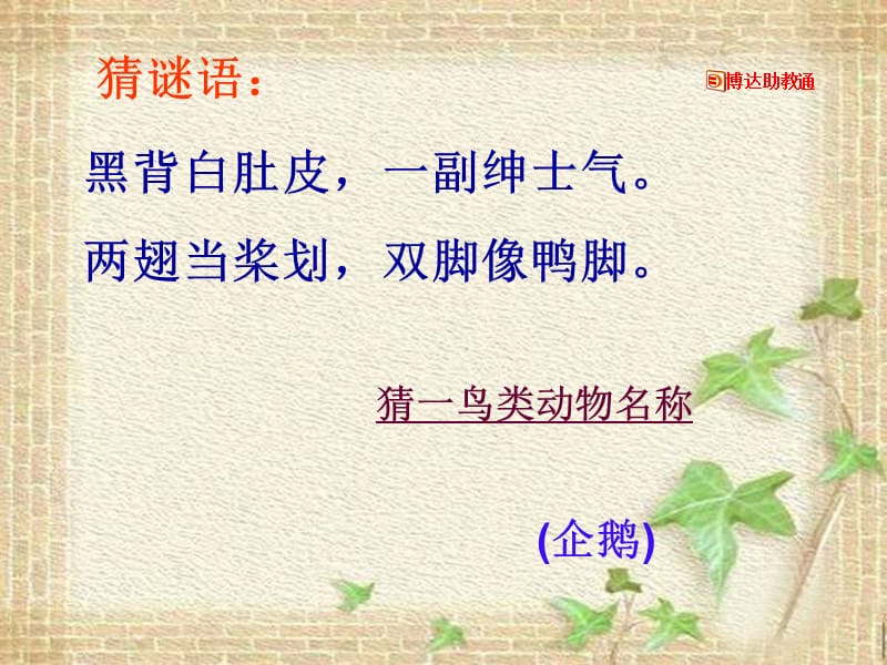 《登上企鹅岛》).ppt_第1页