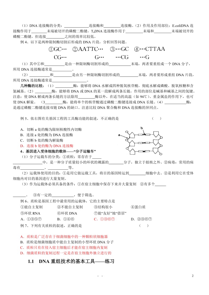 基因工程学案.doc_第2页