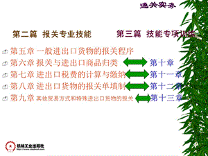 二篇报关专业技能.ppt