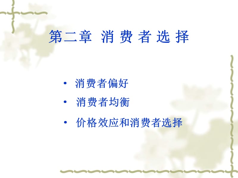 第二消费者选择.ppt_第1页