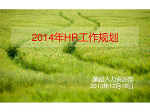 集团人力资源部2014年HR工作规划.ppt