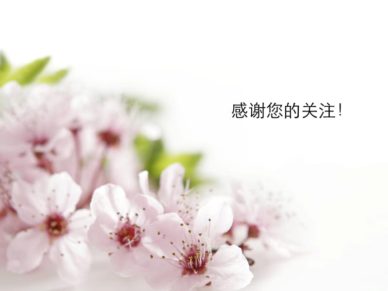 粉红色的澹雅桃花模板.ppt_第3页