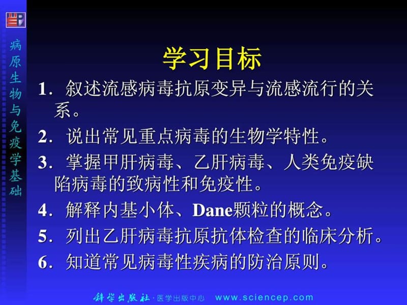 常见病毒_图文.ppt.ppt_第2页