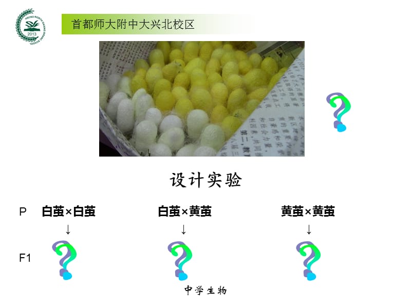 《生物的性状遗传》-课件-宗琮.ppt_第2页