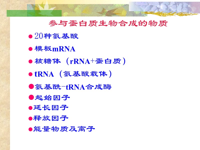 第12章蛋白质生物合成翻译.ppt_第2页