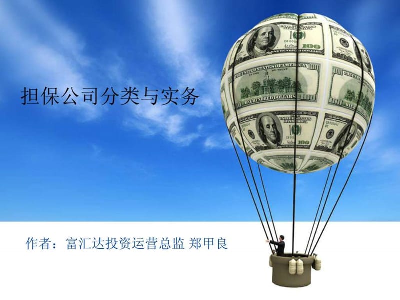 担保公司分类与实务_财务管理_经管营销_专业资料.ppt_第1页