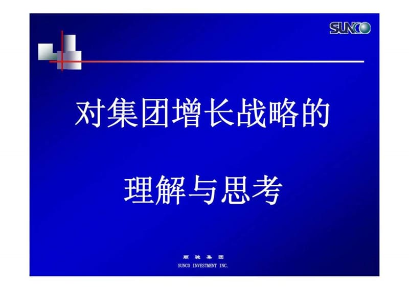 顺驰集团对集团增长战略的思考.ppt_第1页