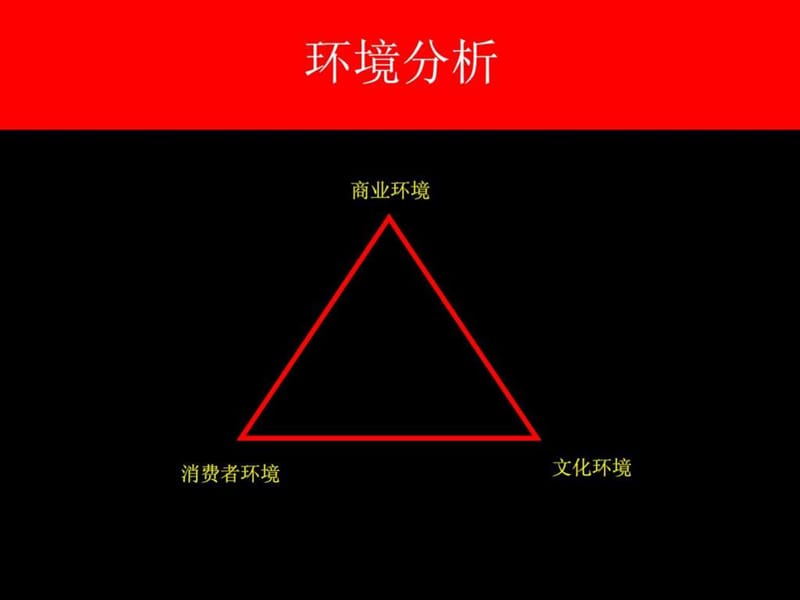 杜蕾斯传播策略.ppt_第2页