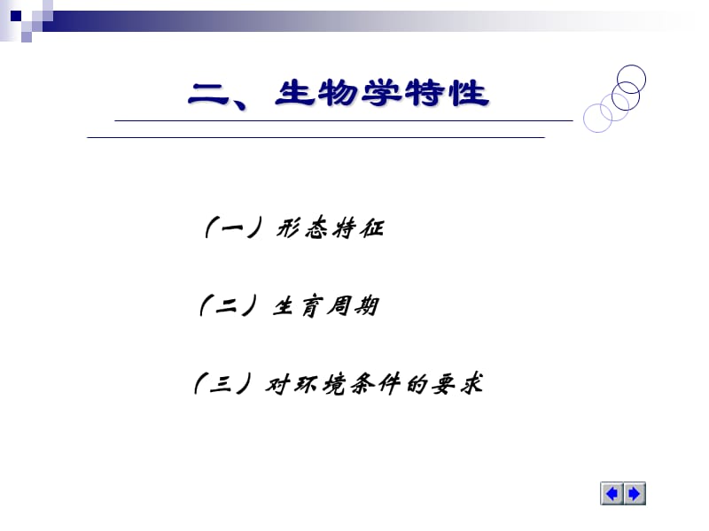 第一节番茄.ppt_第3页