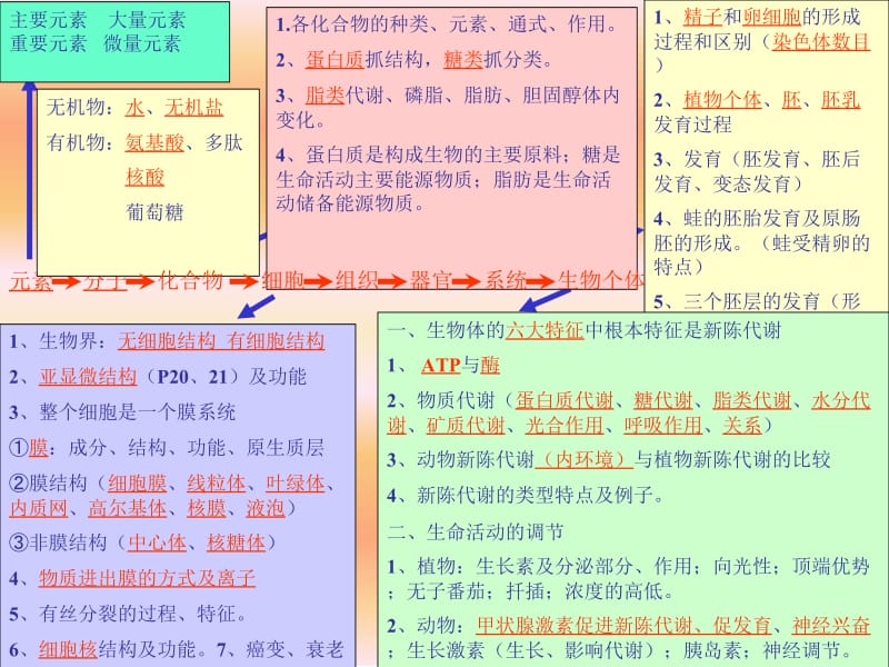 高二生物上学期期末复习.ppt_第2页