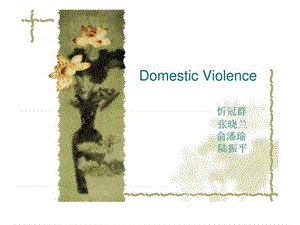 domestic violence(婚姻,有关家庭暴力的,英文版).ppt.ppt