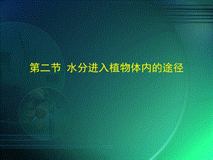 第二水分进入植物体内的途径.ppt