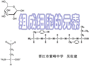 晋江市紫峰中学吴佐建.ppt