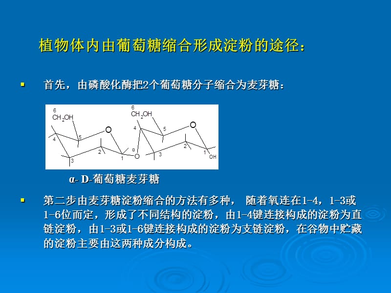 二章谷物淀粉.ppt_第3页