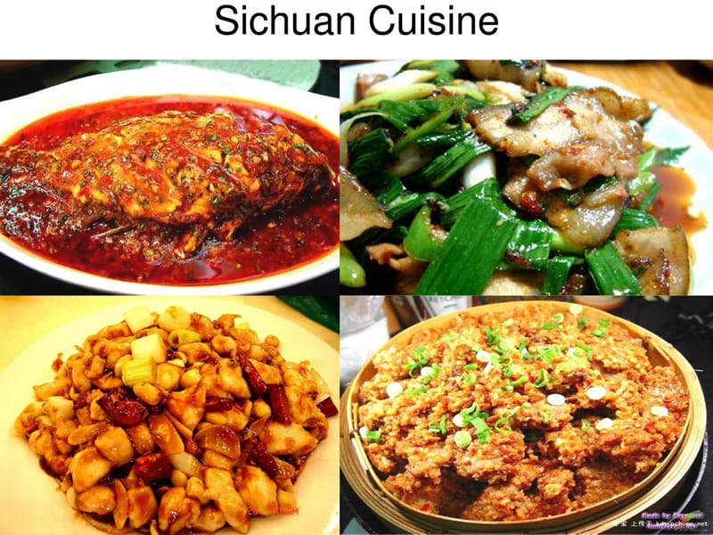 英文介绍中国饮食文Various_Chinese_Dishes.ppt_第3页