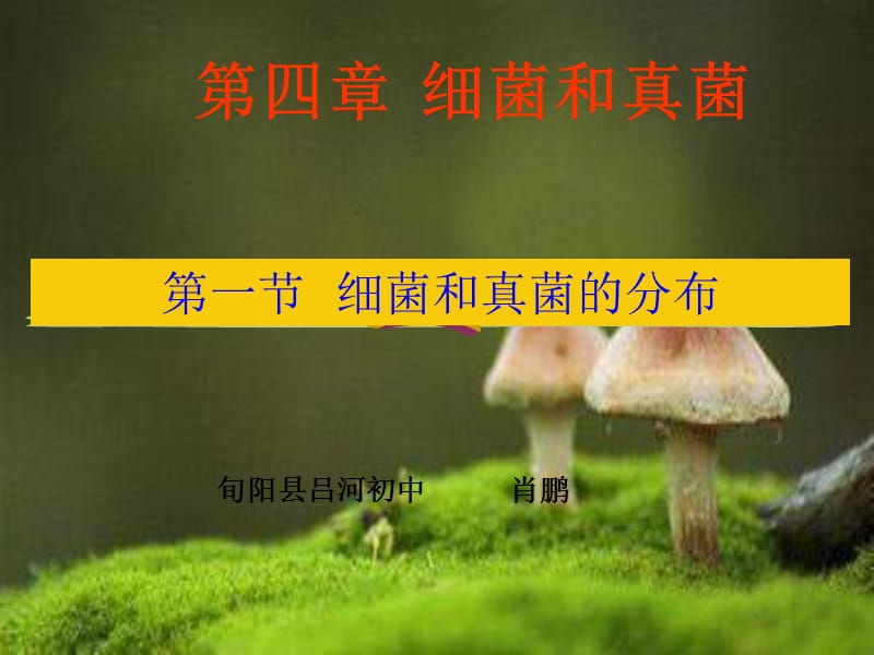 八年级生物第四章第一节细菌和真菌的分布课件上课用.ppt_第1页