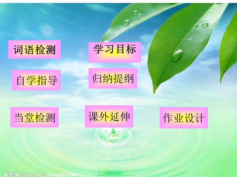 《生命与水》.ppt_第2页