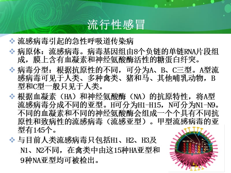 甲型H1N1流感防控.ppt_第3页