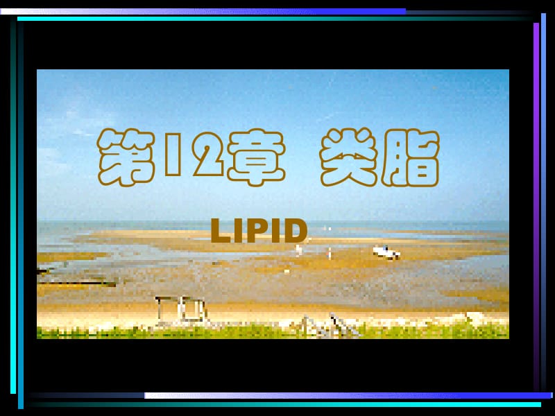 第12章类脂.ppt_第1页