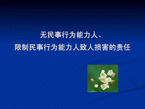 行为能力人、限制民事行为能力人致人损害的责任.ppt