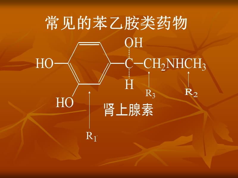 第二节.ppt_第3页