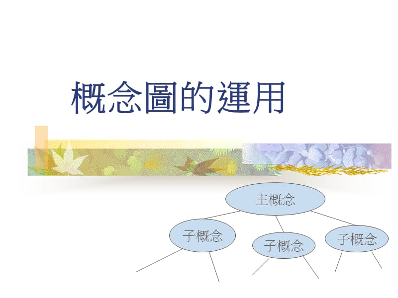 概念图的运用.ppt_第1页