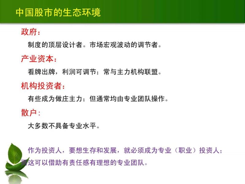 股市投资理念及策略.ppt.ppt_第2页