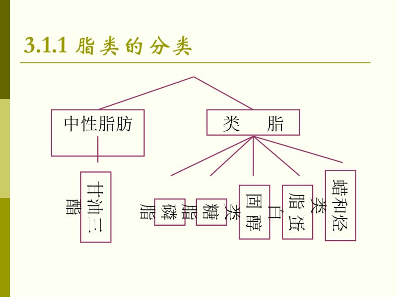 食品化学脂肪02.ppt_第2页