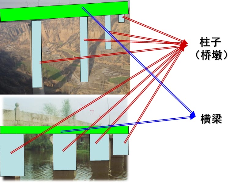 教科版六年级上册二单元课.ppt_第3页