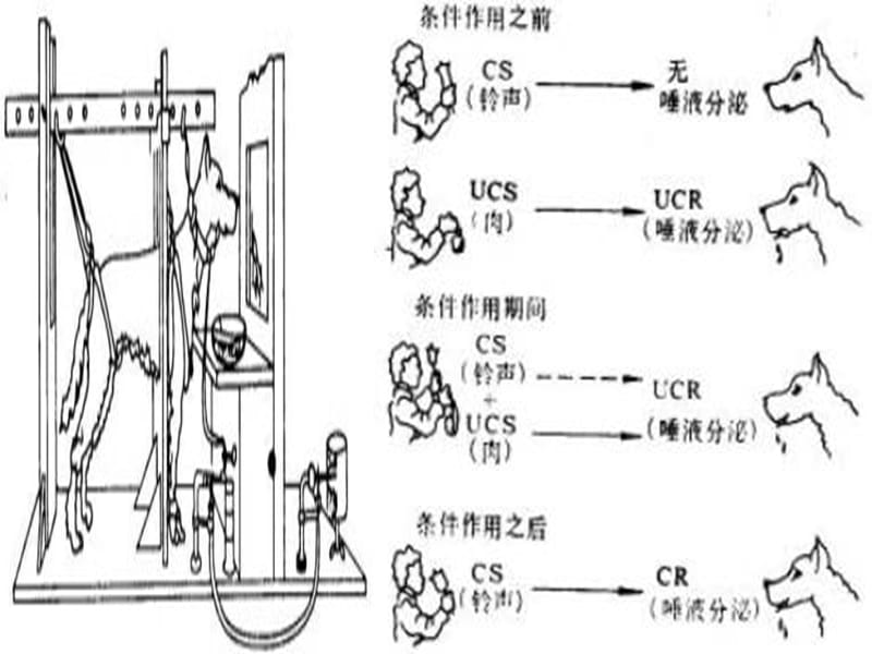 动机理论.ppt_第3页