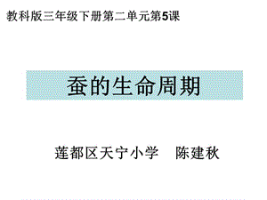 教科版三年级下册二单元5课.ppt