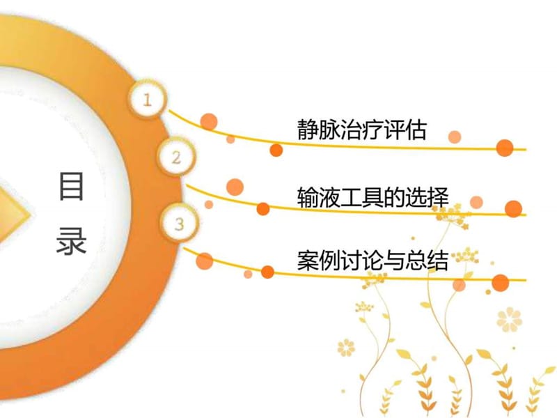 静脉治疗评估及输液工具的选择.ppt_第3页