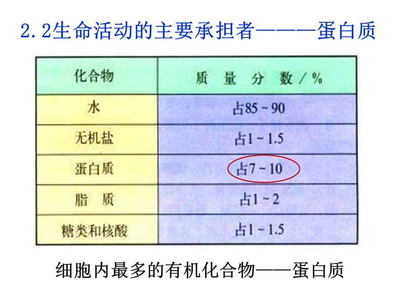 必修一2.2蛋白质生命活动的承担者.ppt_第2页