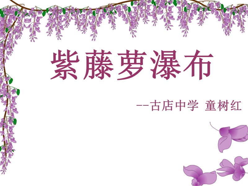 古店中学童树红《紫藤萝瀑布》PPT课件.ppt_第1页