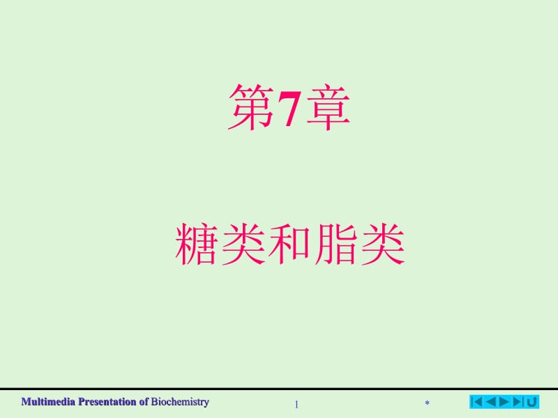 第7章糖类与脂类.ppt_第1页