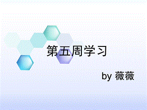 第五次词汇学习.ppt