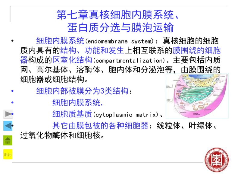 第七章真核细胞内膜系统、蛋白质分选与膜泡运输 复件.ppt_第2页