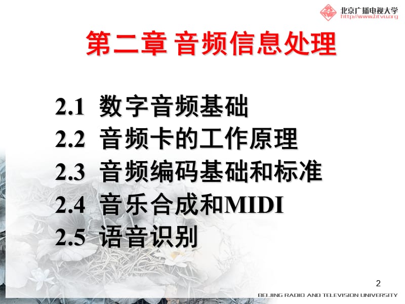 多媒体技术基础及应用.ppt_第2页