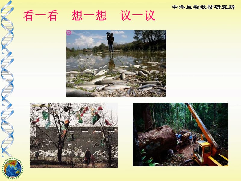 关注生物圈——环境在恶化.ppt_第3页