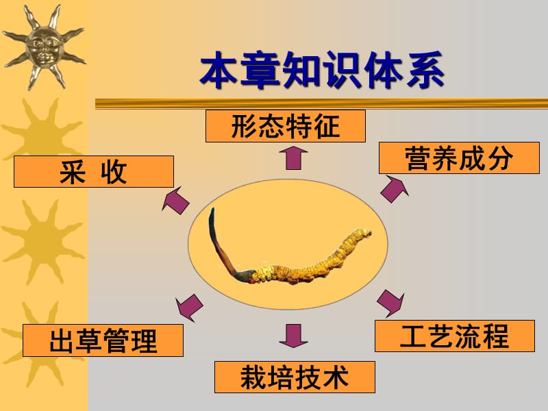 第十六章北冬虫夏草栽培技术.ppt_第2页