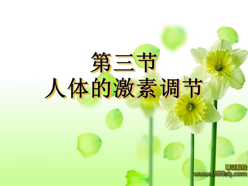 公开课课件：人体的激素调节.ppt_第2页