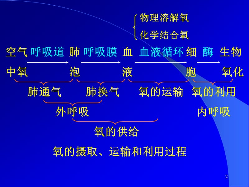 第五章缺氧.ppt_第2页