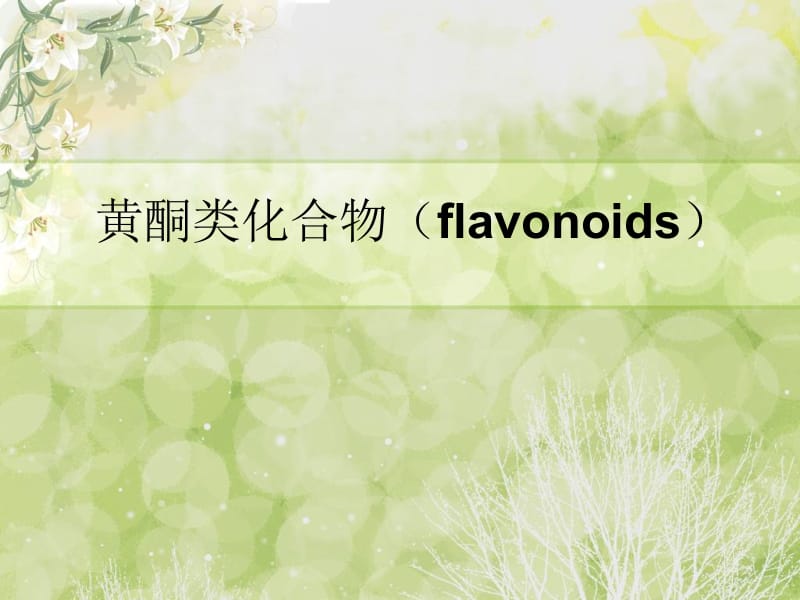 黄酮类化合物flavonoids.ppt_第1页