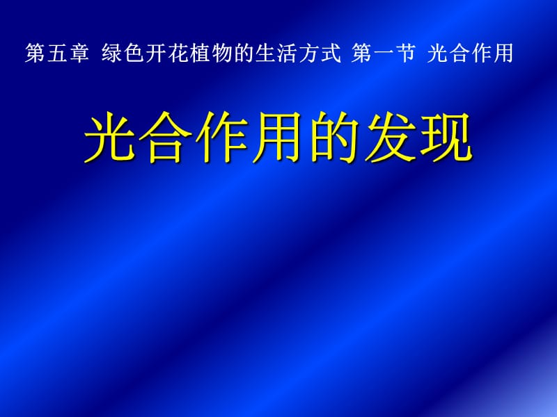 光合作用.ppt.ppt_第1页